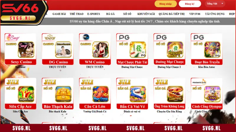 Những câu hỏi thường gặp tại SV66