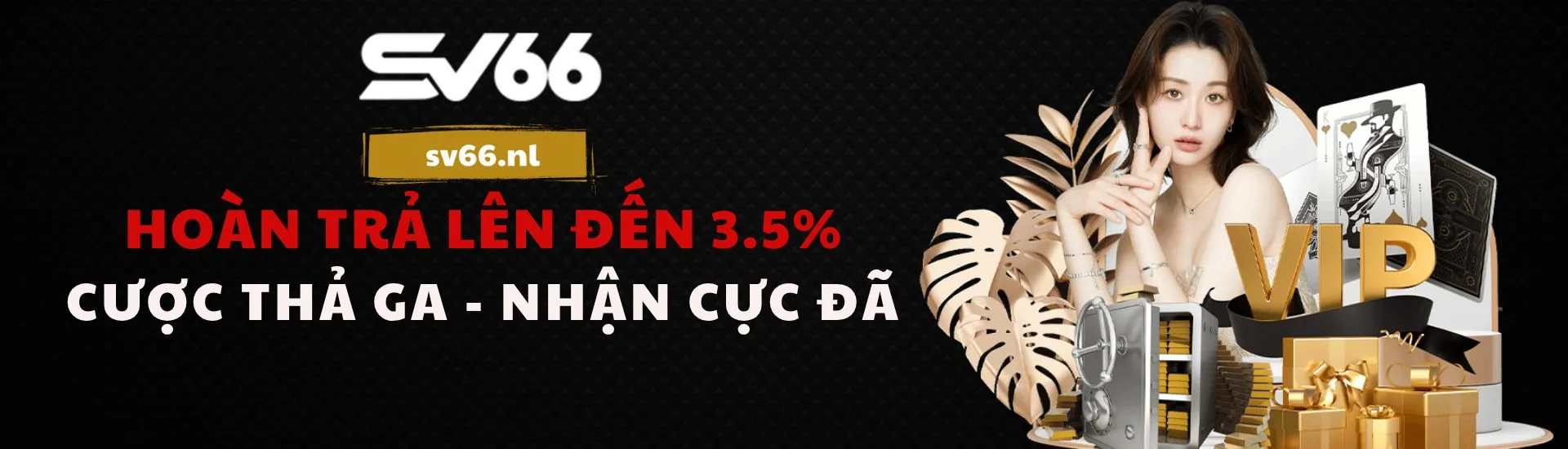 banner-sv66