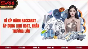 Bí Kíp Đánh Baccarat -  Áp Dụng Linh Hoạt, Nhận Thưởng Lớn