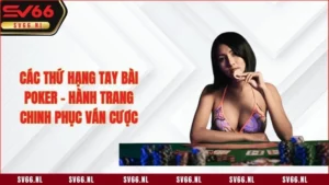 Các Thứ Hạng Tay Bài Poker - Hành Trang Chinh Phục Ván Cược