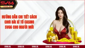 Hướng Dẫn Chi Tiết Cách Chơi Bài Xì Tố Casino SV66 cho Người Mới