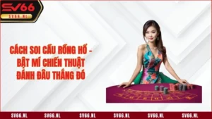 Cách Soi Cầu Rồng Hổ - Bật Mí Chiến Thuật Đánh Đâu Thắng Đó