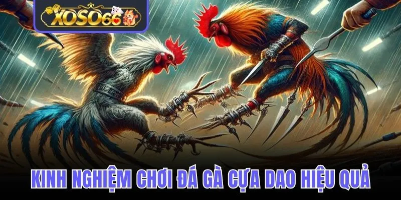 Bật mí 5 mẹo chơi Blackjack bách phát, bách trúng cho game thủ
