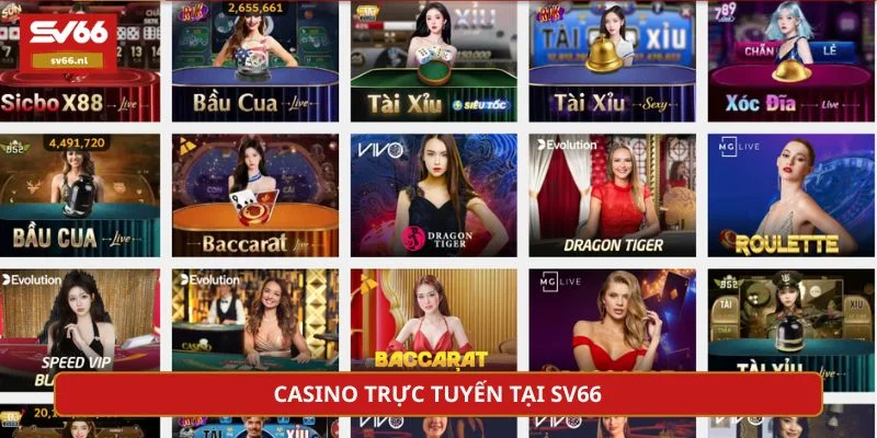 Casino là hình thức đặt cược được nhiều người yêu thích
