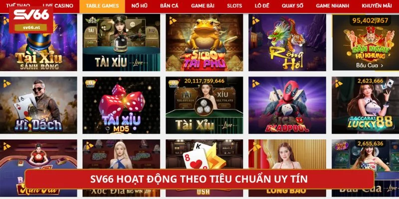 Nền tảng sở hữu giấy phép hoạt động từ tổ chức quốc tế