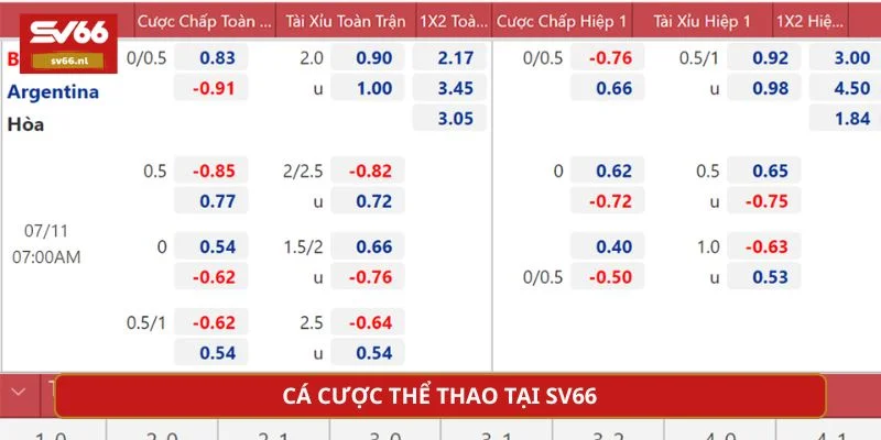 Sảnh cược thể thao thu hút nhiều người chơi mỗi ngày