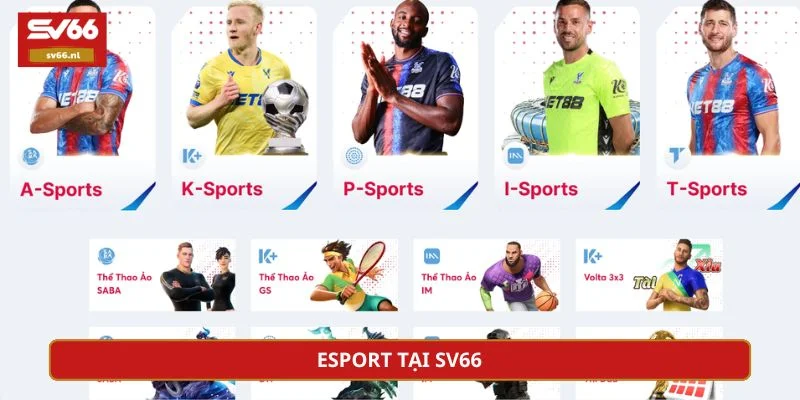 Sảnh Esport cung cấp nhiều giải đấu hấp dẫn